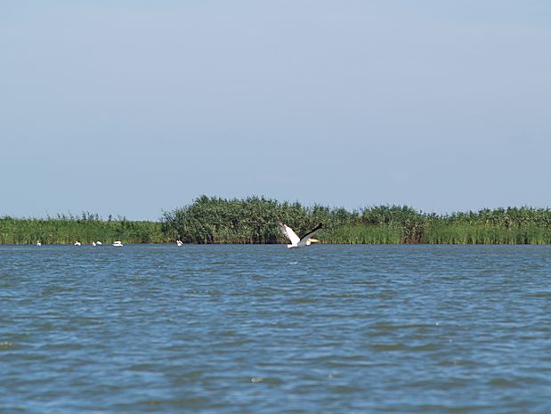 Donau Delta