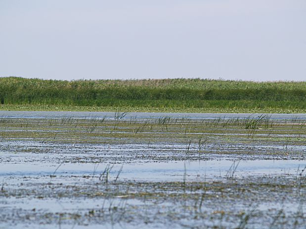 Donau Delta