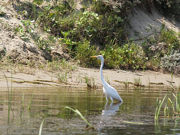 Donau Delta