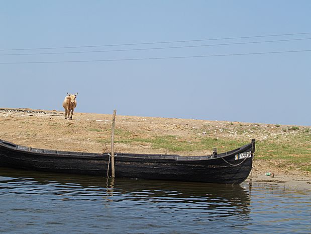 Donau Delta