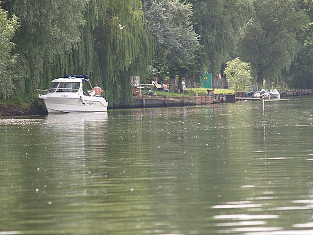 Donau Delta