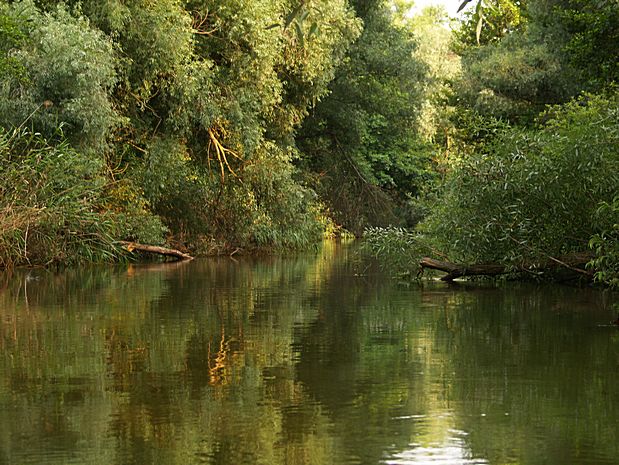 Donau Delta