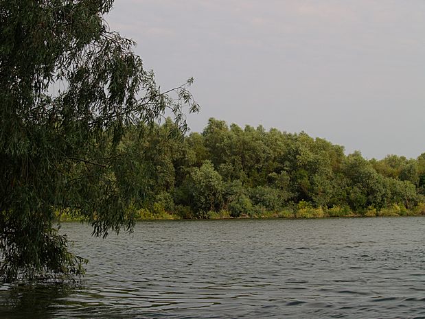 Donau Delta