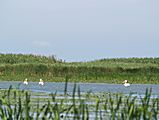 Schwarzes Meer