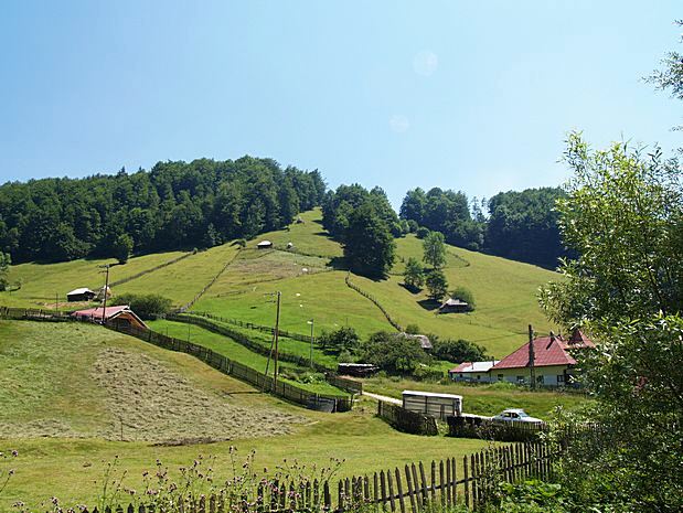 Carpathian Mountains