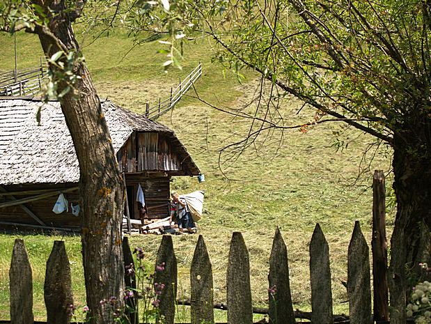 Carpathian Mountains