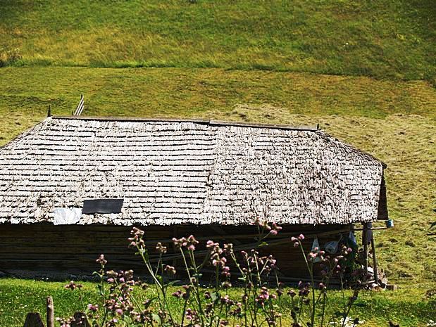 Carpathian Mountains