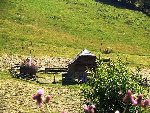 Carpathian Mountains