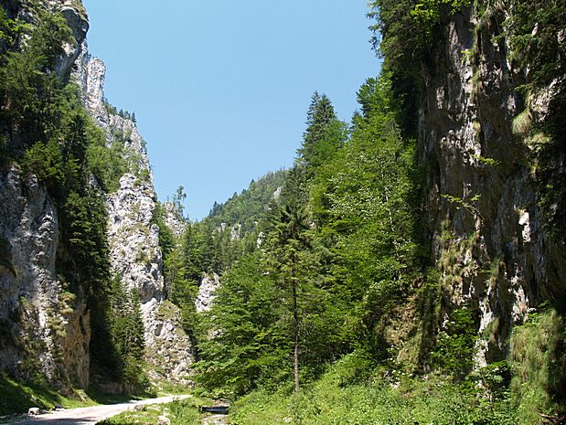 Carpathian Mountains