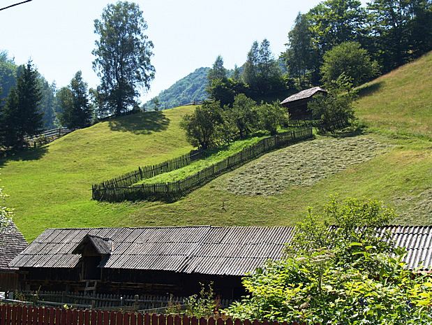 Carpathian Mountains