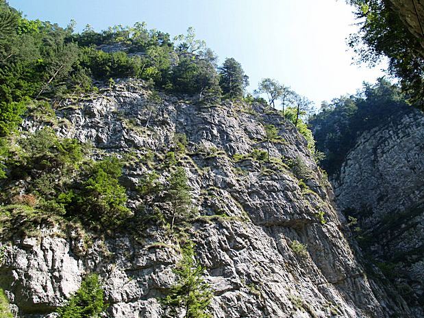 Carpathian Mountains