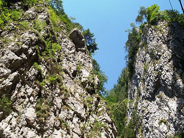 Carpathian Mountains