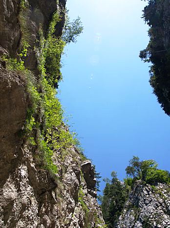 Carpathian Mountains