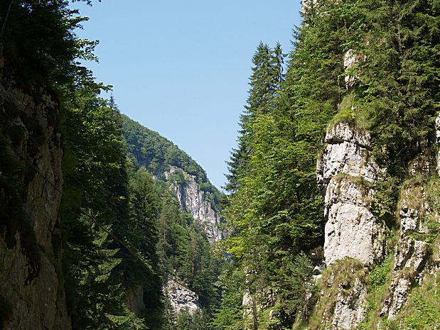 Carpathian Mountains