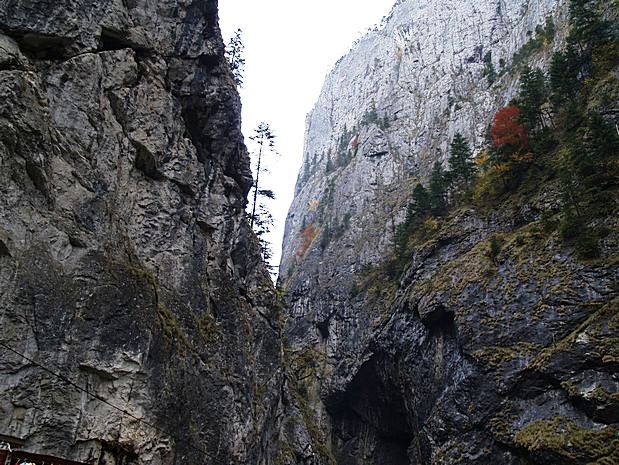 Carpathian Mountains