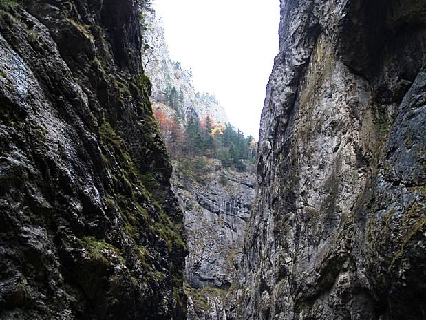 Carpathian Mountains