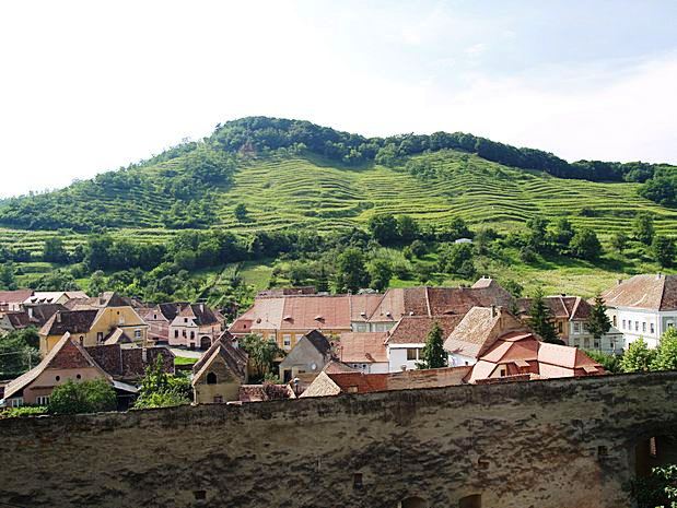 Fortified Church