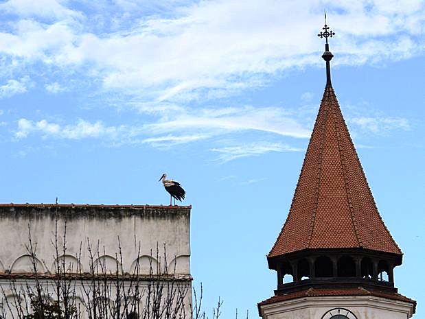 Fortified Church