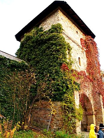 Painted churches of Bukovina