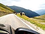 Transfagarasan