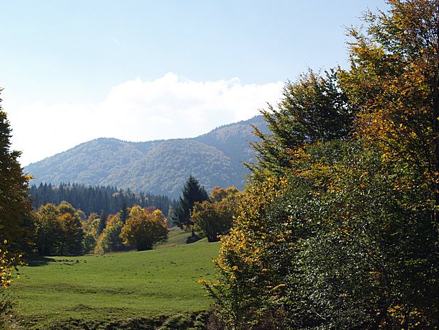 Brasov area