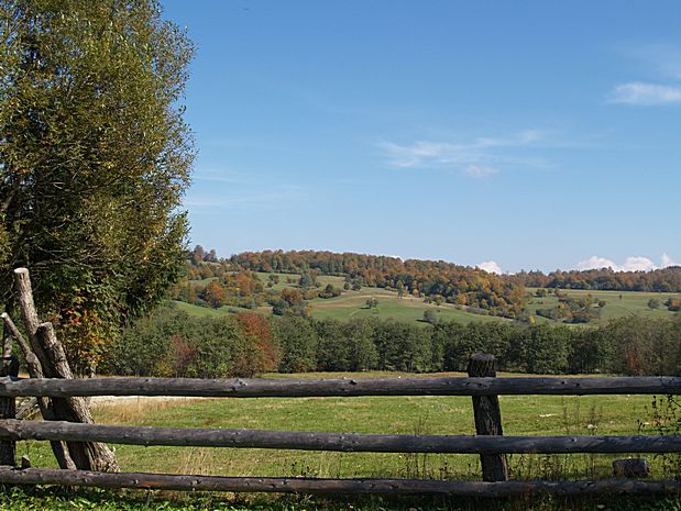 Brasov area