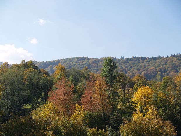 Brasov area