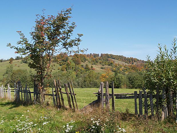 Brasov area