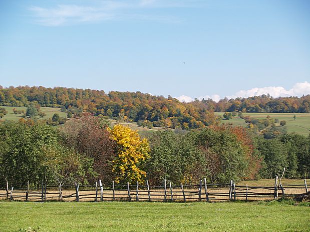 Brasov area