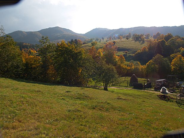 Brasov area