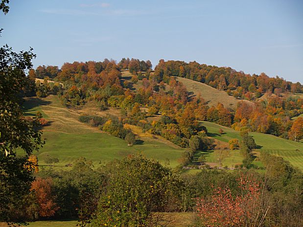 Brasov area