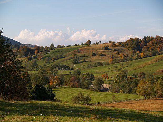 Brasov area