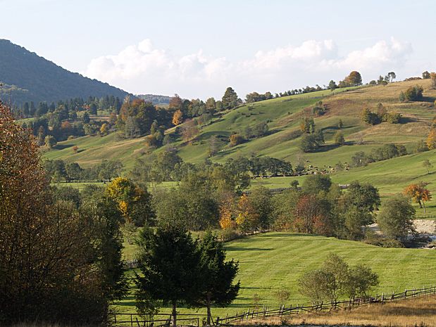 Brasov area