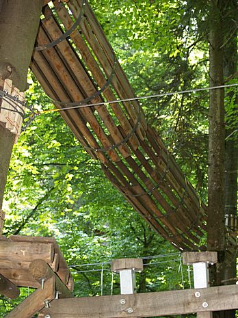 climbing park in Brasov