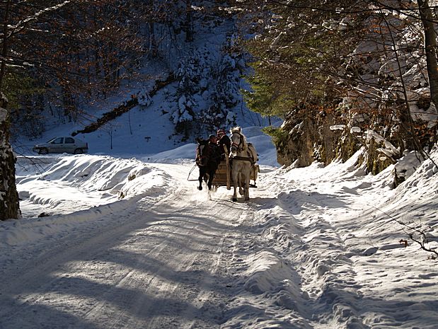 Brasov Romania