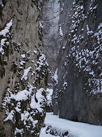 Brasov Romania