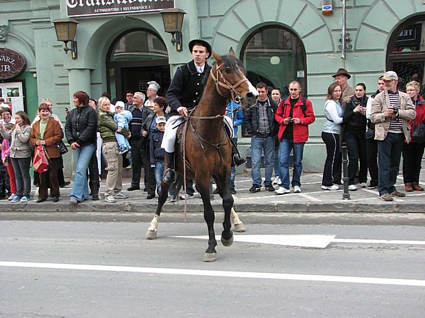 Junii Brasovului 2012