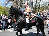 Junii Brasovului in Brasov